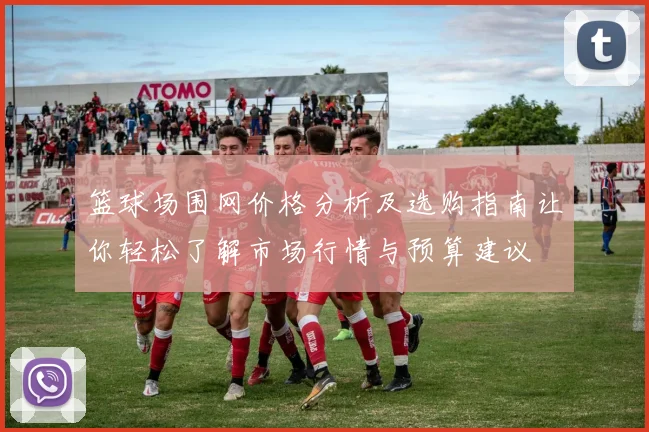 篮球场围网价格分析及选购指南让你轻松了解市场行情与预算建议